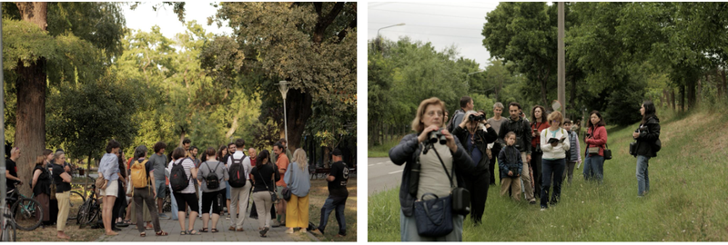 foto: Andreea Săsăran