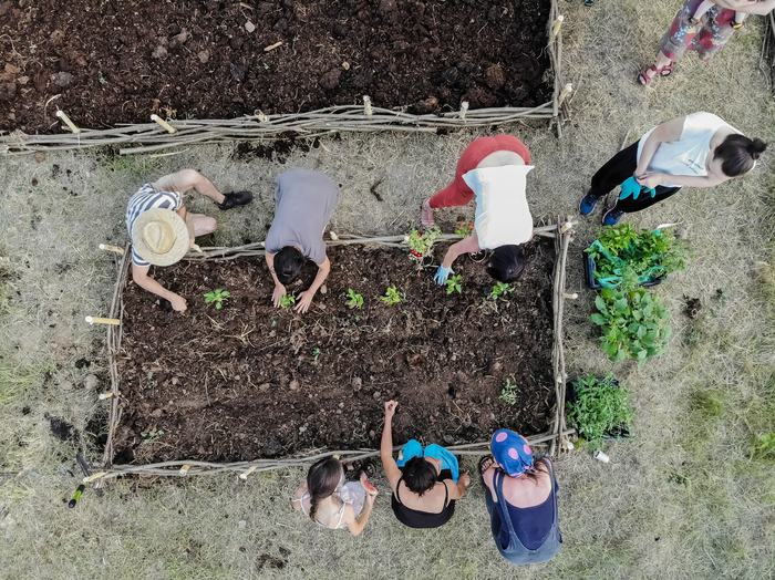 Grădinescu Timișoara – Greenfeel header image